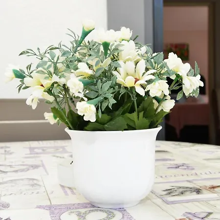 Apartment Lavender Vir