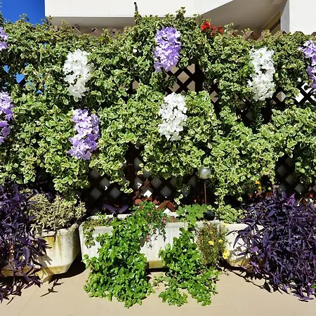 Apartment Lavender Vir