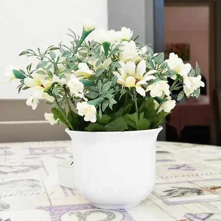 Apartment Lavender Vir
